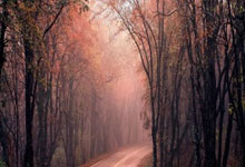 湖人大胜尼克斯，詹姆斯再次全面发挥