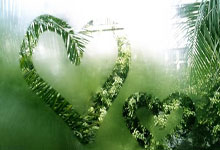 记者：恩迪迪将在今天接受贝西克塔斯体检，转会费950万欧元，贝恩德·蒂斯