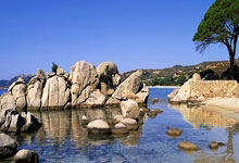 俄罗斯选手豪气闯关，夺得金牌！