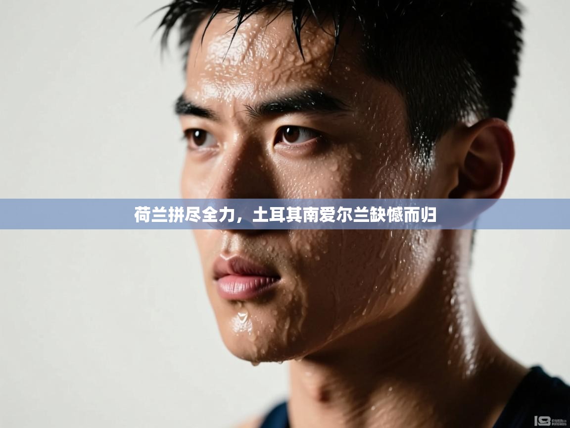 荷兰拼尽全力，土耳其南爱尔兰缺憾而归