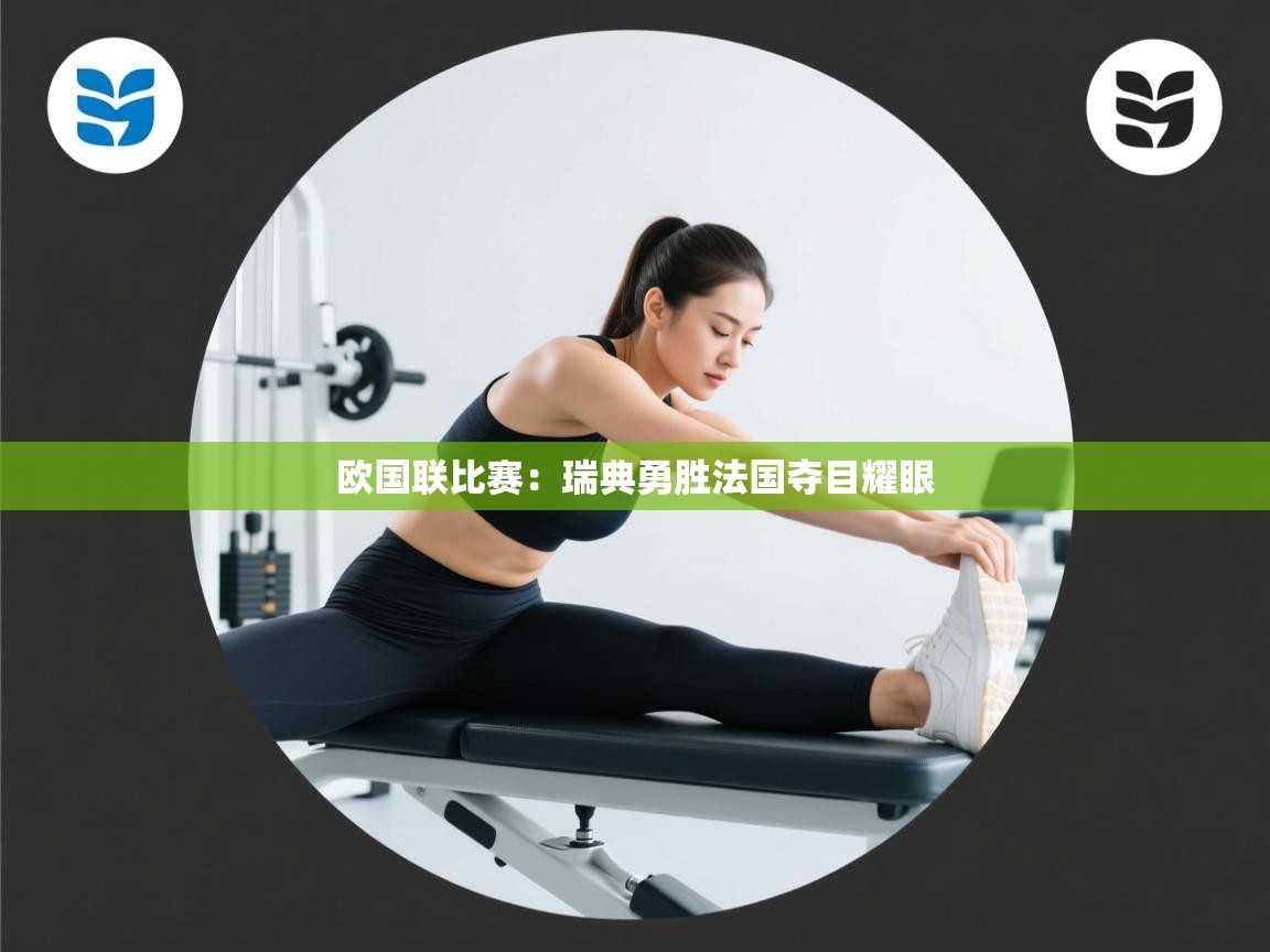 欧国联比赛：瑞典勇胜法国夺目耀眼
